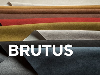 Коллекция BRUTUS